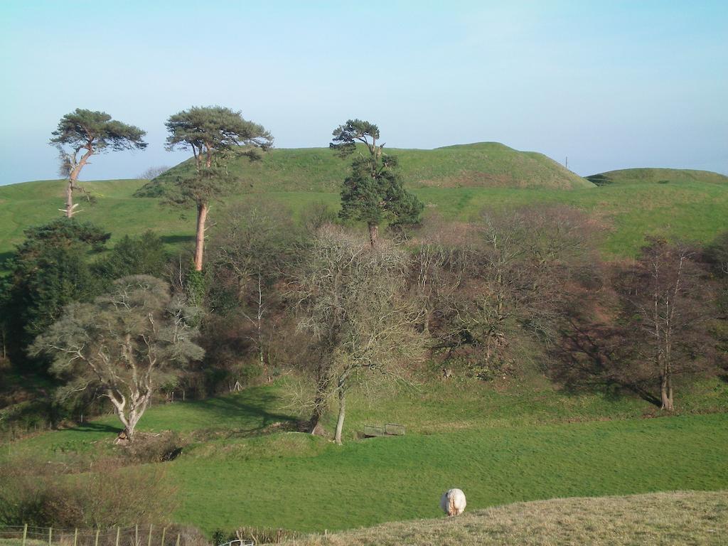 内瑟·斯托威老苹果酒屋旅馆住宿加早餐旅馆 外观 照片